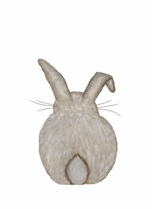 Hase, GA klein