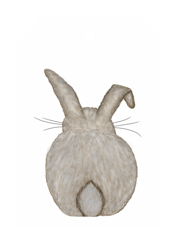 Hase, GA klein